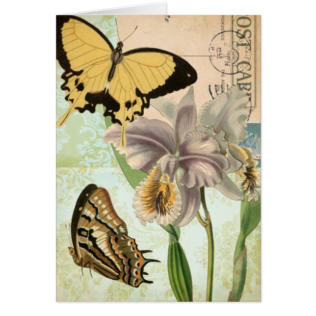 Vintage Postkarte mit Schmetterlingen und Blume (Vorne)
