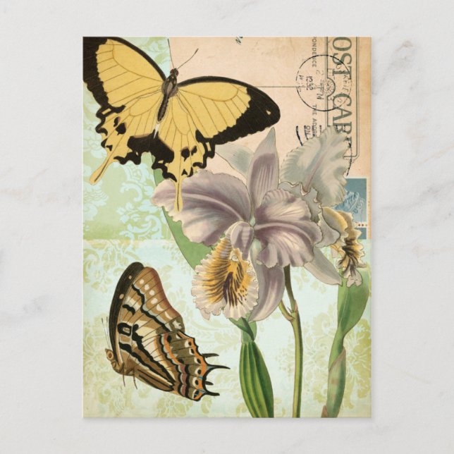 Vintage Postkarte mit Schmetterlingen und Blume (Vorderseite)