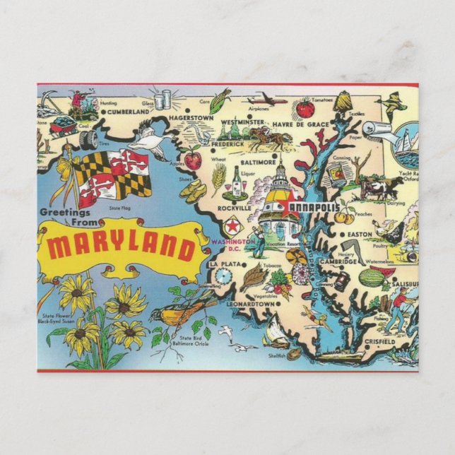Vintage Postkarte von Maryland (Vorderseite)