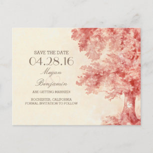 Vintage Postkarten aus alten Bäumen