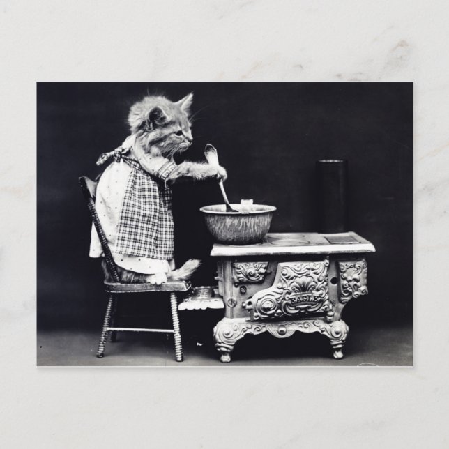Vintage Postkartenkatze im Kleid Kochen Postkarte (Vorderseite)