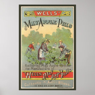 Vintage-Produktlabel-Kunst, Wells May Apple Pills Poster