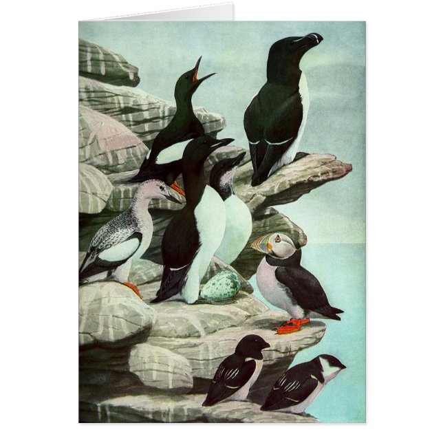 Vintage Puffins und Wasservögel von Louis Futes (Vorne)