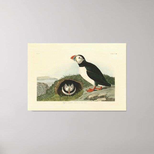 Vintage PuffsIllustration Leinwanddruck (Vorderseite)
