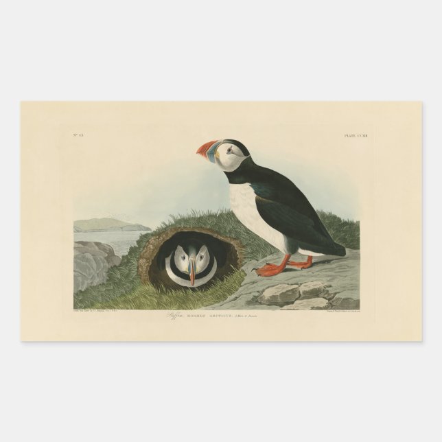 Vintage PuffsIllustration Rechteckiger Aufkleber (Vorderseite)