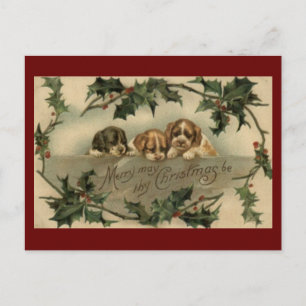 Vintage Puppy Trio Christmas Postcard Feiertagspostkarte