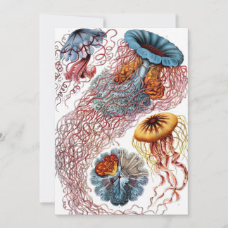 Vintage Qualle von Ernst Haeckel, Discomedusae Einladung