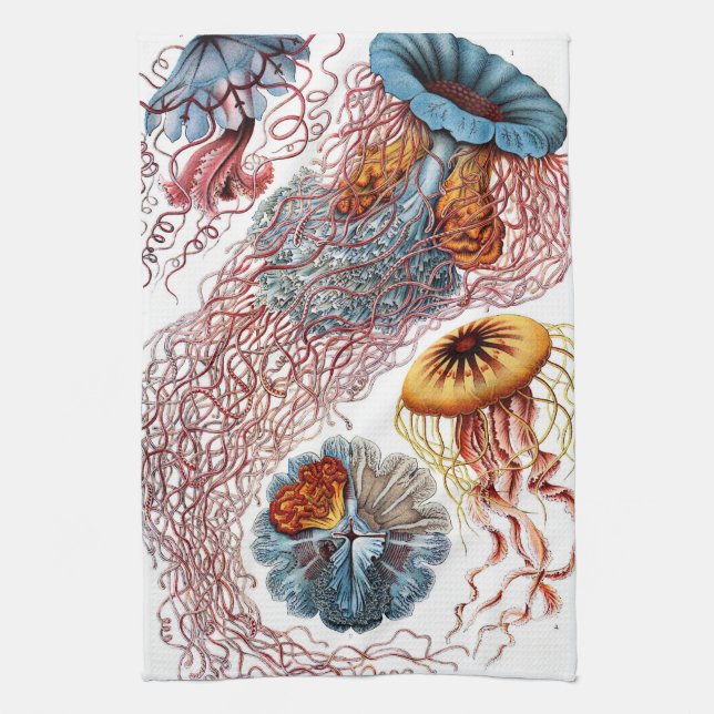 Vintage Qualle von Ernst Haeckel, Discomedusae Geschirrtuch (Vertikal)