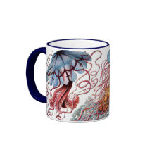 Vintage Qualle von Ernst Haeckel, Discomedusae