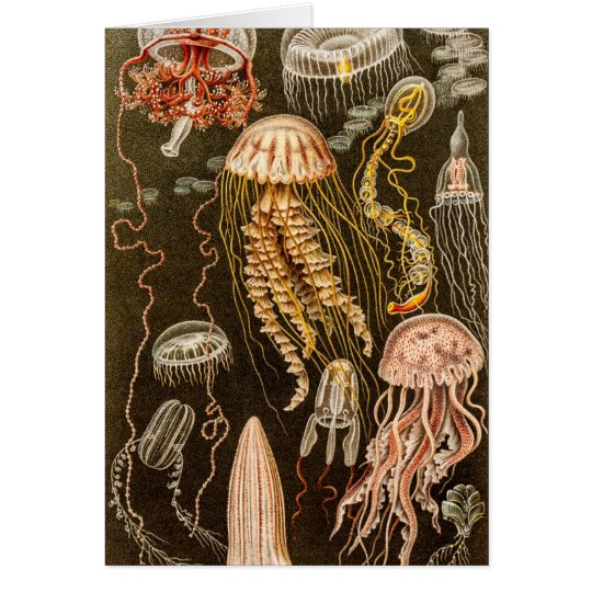 Vintage Quallen-Antiken-Qualle-Illustration Karte