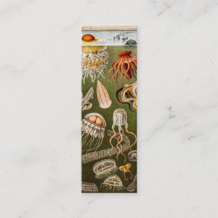 Vintage Quallen-Antiken-Qualle-Illustration Mini Visitenkarte