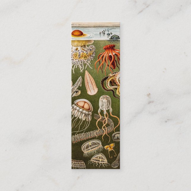 Vintage Quallen-Antiken-Qualle-Illustration Mini Visitenkarte (Vorderseite)