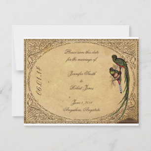 Vintage Quetzal Bird Elegant Enregistrer la carte 