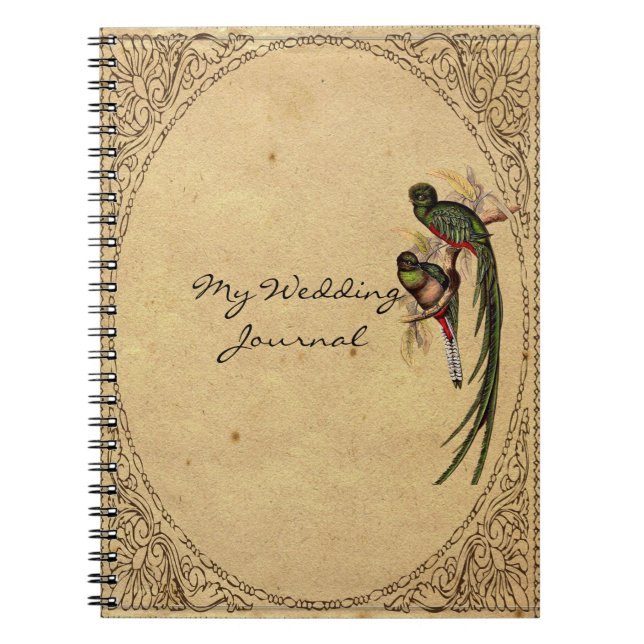 Vintage Quetzal-Vogel-elegante Notizblock (Vorderseite)