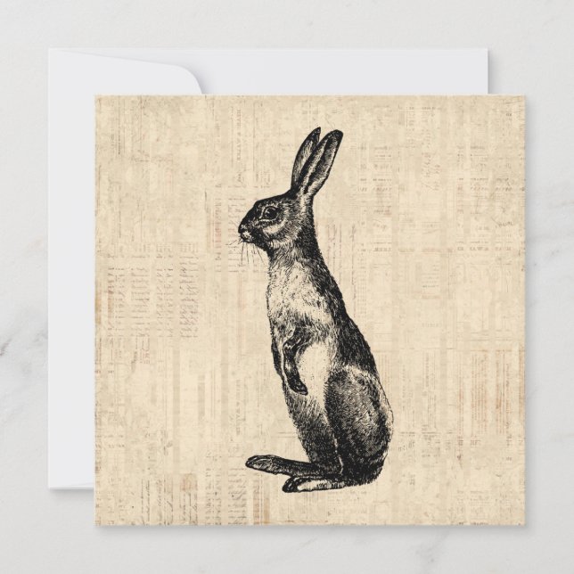 Vintage Rabbit Illustration Alt-modischer Bunny Karte (Vorderseite)