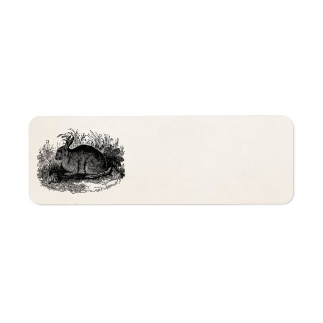 Vintage Rabbit Retro Bunny Template Rabbits 1800 (Vorne)