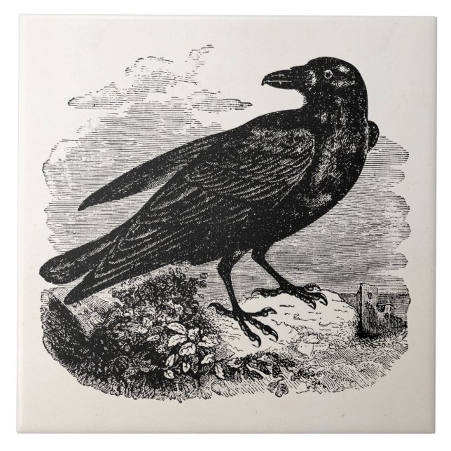 Vintage Raben-Schwarz-Vogel-Krähen-personalisierte Fliese (Vorderseite)