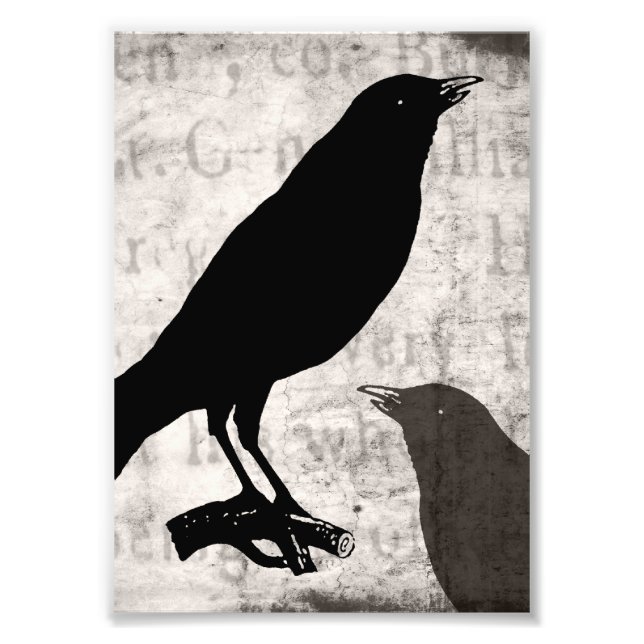 Vintage Raven Goth Collage angepasste Vogelreihe Fotodruck (Vorne)