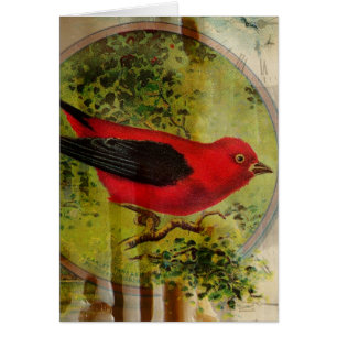 Vintage Red Bird-Jede Anlässe