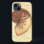 Vintage Red Conch Shell iPhone 13 Hülle<br><div class="desc">In this vivid image,  you can see in vintage natural and unique style of the red Conch shell up close. This unique type of art has black and red shading to accent the spiraling of this conch shell. Get this conch shell with an sepia background on your product today.</div>