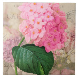 Vintage Redoute Pink Hydrangea Keramik Tile Fliese