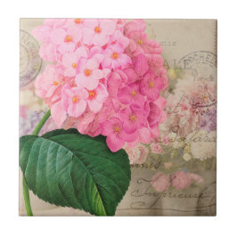 Vintage Redoute Pink Hydrangea Keramik Tile Fliese