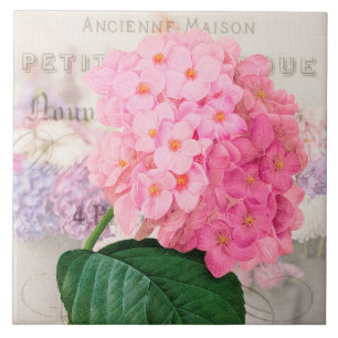 Vintage Redoute Rosa Hydrangea Keramikfliese