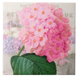 Vintage Redoute Rosa Hydrangeen-Keramikfliese Fliese