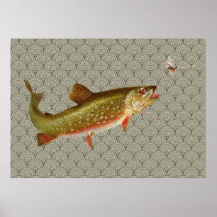 Vintage Regenbogenforelle Fischen Poster