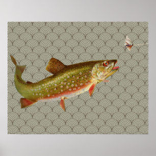 Vintage Regenbogenforelle Fischen Poster