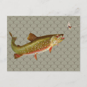Vintage Regenbogenforelle Fischen Postkarte