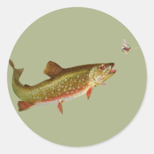 Vintage Regenbogenforelle Fischen Runder Aufkleber