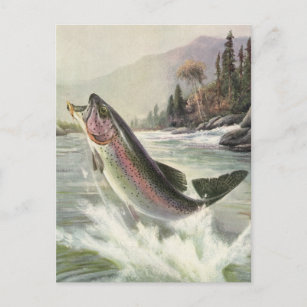 Vintage Regenbogenforelle Fischerei Postkarte