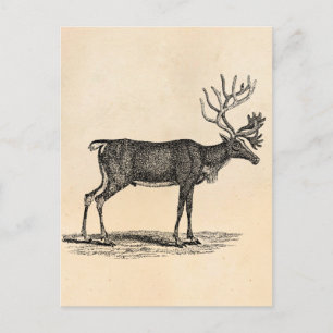 Vintage Reindeer-Illustration - Weihnachten des 18