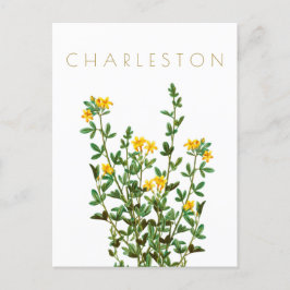 Vintage Reise der Charleston-Blume Mitte Jahrhunde Postkarte