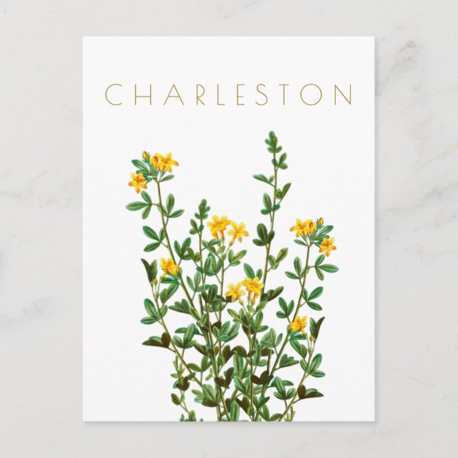 Vintage Reise der Charleston-Blume Mitte Jahrhunde Postkarte (Vorderseite)