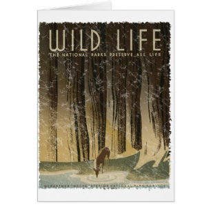 Vintage Reiseposter - Wildtiere circa 1934