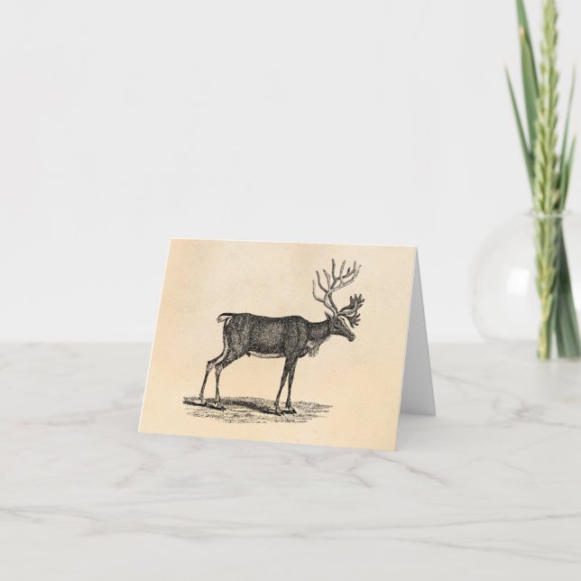 Vintage Ren-Illustration - Weihnachten 1800's (Vorderseite)