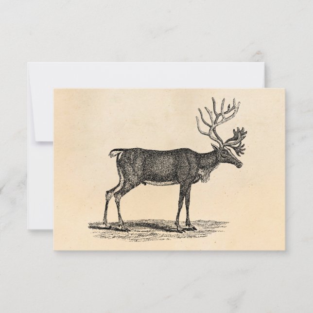Vintage Rentier-Illustration - Weihnachten des 18. Einladung (Vorderseite)