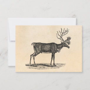 Vintage Rentier-Illustration - Weihnachten des 18. Einladung