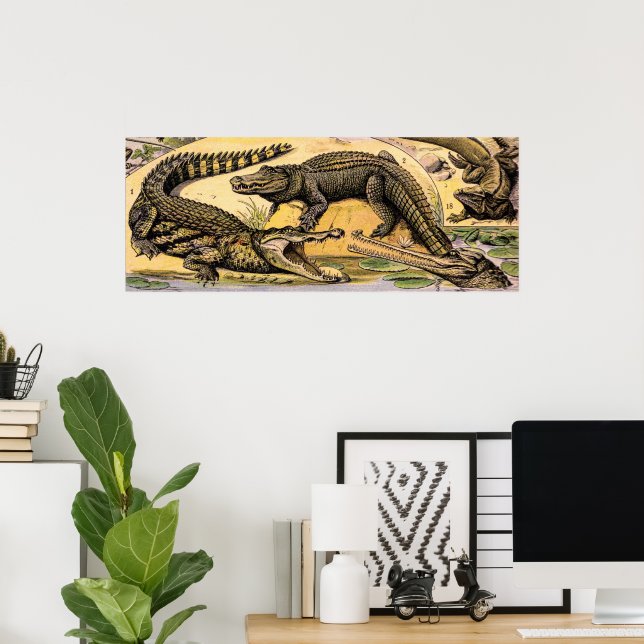 Vintage Reptilien-Illustration von Adolphe Millot Poster (Heimbüro)