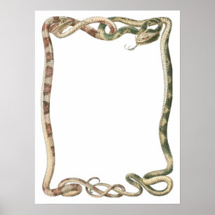 Vintage Reptilien, verschlungene Schlangen oder Vi Poster
