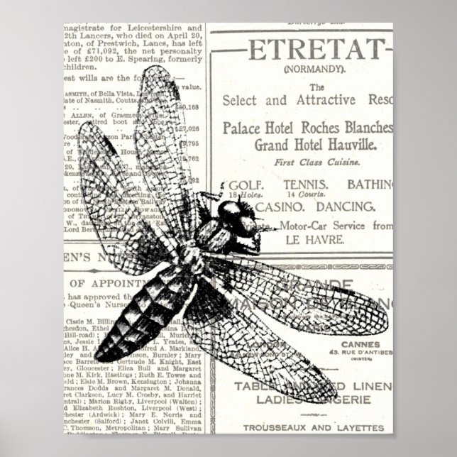 Vintage Retro-Insektenzeitung Schwarz/Weiß Poster (Vorne)