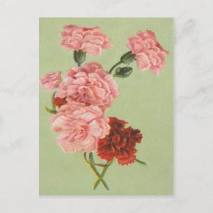 Vintage Retro-Rose Postkarte