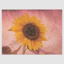 Vintage Riesenblume Rosa Gelbe Textur