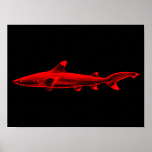 Vintage-Riff-Hai- Illustration Rot Schwarze Haie Poster