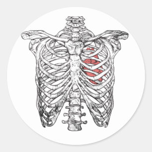 Vintage-Rippengestell und Herz-Anatomie Halloween Runder Aufkleber