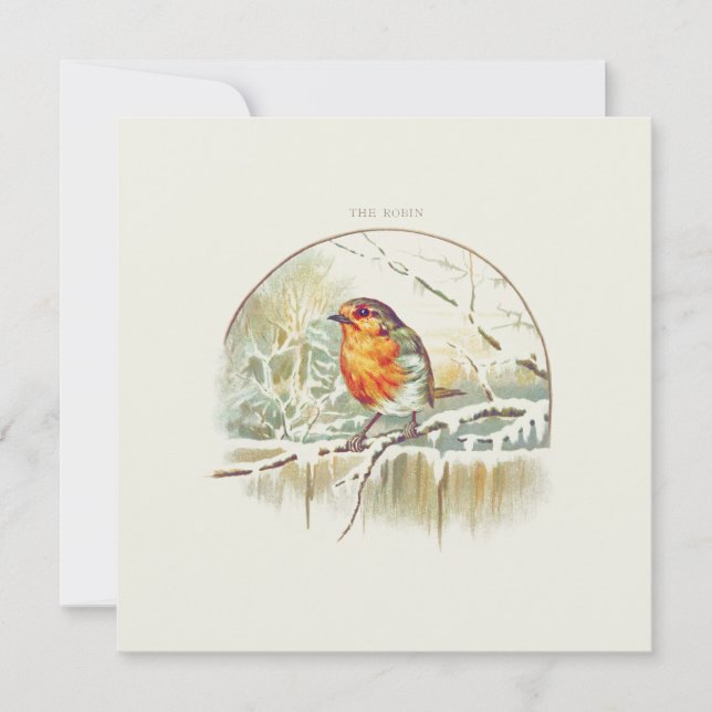 VINTAGE ROBIN "MERRY CHRISTMAS" GREETKARTE (Vorderseite)
