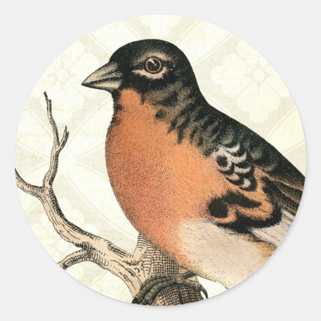 Vintage Robin Runder Aufkleber (Vorderseite)
