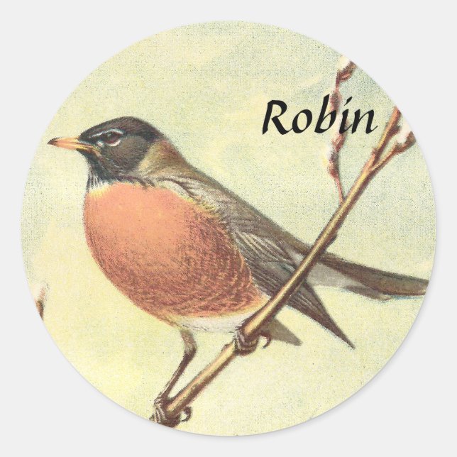 Vintage Robin Stickers (Vorderseite)